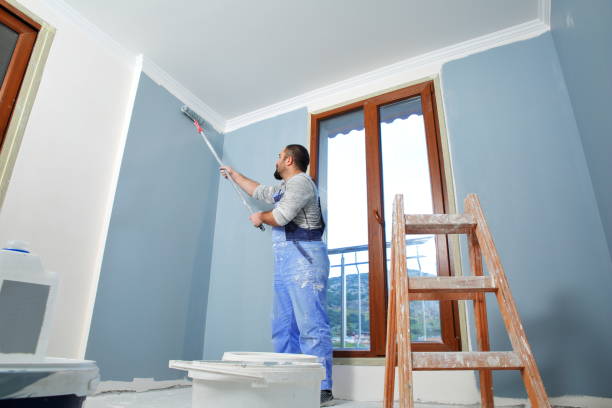 Best Black Mold Removal  in Salmon, ID