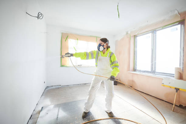 Best Basement Mold Removal  in Salmon, ID