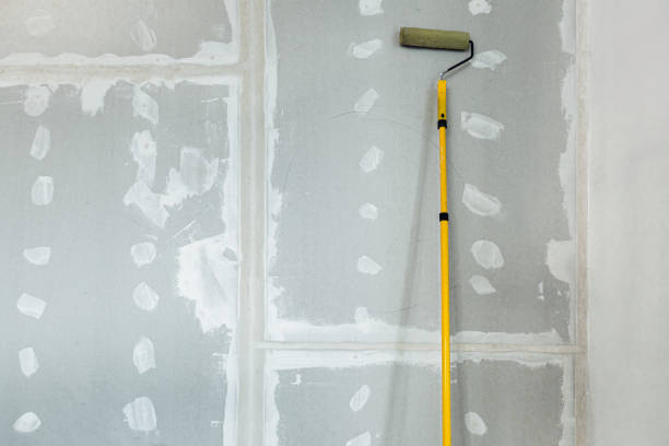 Best Residential Mold Inspection & Testing  in Salmon, ID