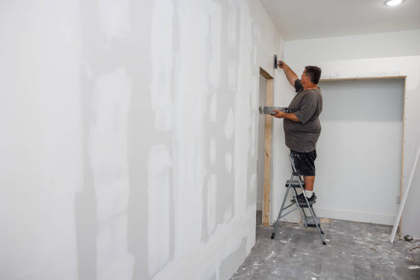 Best Real Estate Mold Inspection  in Salmon, ID