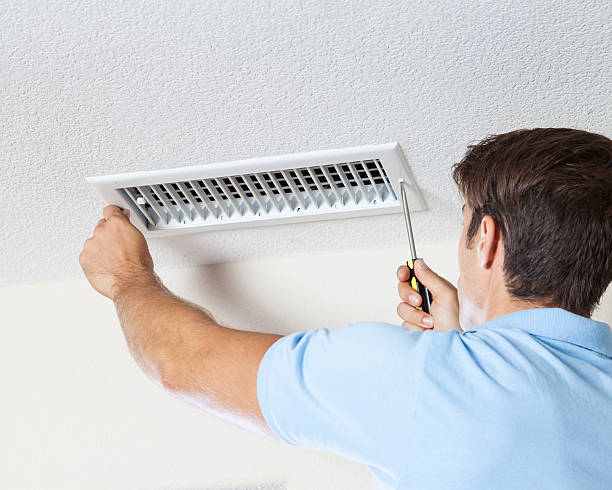 Best Forensic Mold Investigation  in Salmon, ID