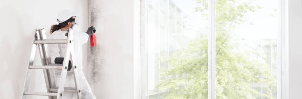 Best Dehumidification Services  in Salmon, ID
