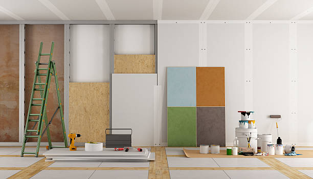 Best Mold Damage Restoration  in Salmon, ID